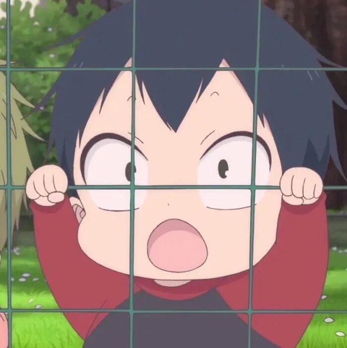 小杨同学